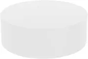 FLCPJGV De Pieth Display Mannequin , White, as described