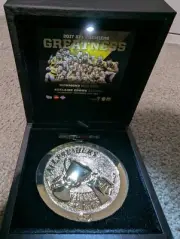 AFL RICHMOND TIGERS 2017 PREMIERSHIP BOXED MEDAL DISPLAY - Martin Grand Final