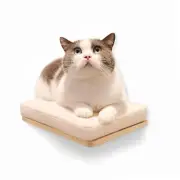 Cat Shelves Wall Mounted Cat Step with Cushion Wooden Cat Climbing Shelf Cat ...