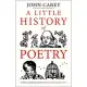 A Little History of Poetry