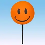 Car Antenna Topper/Antenna Ball/Mirror Dangler/Desktop Spring Stand Bobble (Orange Happy Face)