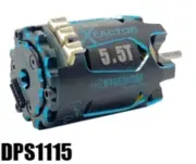 Trinity PHENOM "X-Factor" 5.5 Turn Carpet Mod Modified Brushless Motor DPS1115