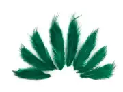 1 Dozen - Solid Peacock Green Rooster Chickabou Fluff Feathers