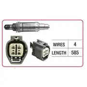RAE Oxygen Sensor - OX638