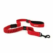 Ezydog Zero Shock LITE Dog Leash Red Ezy 180cm Small Dog Lead Puppy