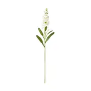 Acacia Stork White 80cm