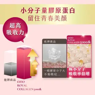 【OZIO 歐姬兒】王宇婕推薦皇家膠原能量粉-1入/30包(膠原蛋白粉、美顏)