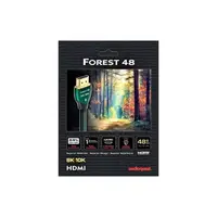 在飛比找PChome商店街優惠-視紀音響 AudioQuest 美國 Forest 48 森