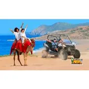 Save 20.00%! Beach UTV & Camel Ride COMBO in Cabo by Cactus Tours Park