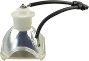 456-8946 Replacement Bare Lamp for DU-Kane Image-Pro 8946