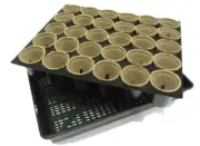 55mm Jiffy Round Pots + Tray - 1, 3 or 6 sets - Propagation, Seedling, Cuttings