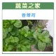 【蔬菜之家】K10.香薄荷(綠薄荷.荷蘭薄荷)種子0.04克(約500顆) 種子 園藝 園藝用品 園藝資材 園藝盆栽 園藝裝飾