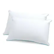 2 Pack Jason Kooling Pillow