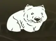 Cute Wombat Australian Animals Vinyl cut Sticker car boat aussie made & design