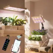 Letpot 60 Watt Plant Grow Lights Bulbs for Indoor Plants Full Spectrum, Smart...