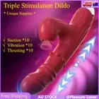 Rabbit Vibrator Thrusting Dildo Vagina G-Spot Nipple Clitoris Stimulator Sex Toy
