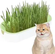 1/3 Cat Plant Convenient Planting Box - Household Cat Grass Box, Soilless Cat Grass Planter, Hydroponic Cat Grass Planting Box, Nursery Cat Plant, Cat Grass Planting Container, Cat Grass Tray