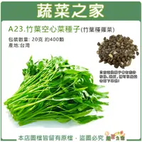 在飛比找蝦皮購物優惠-【蔬菜之家滿額免運】A23.竹葉空心菜(蕹菜)種子 20克約