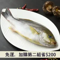 在飛比找台灣好農優惠-(5包組)龜山島野生黃雞魚160~190g