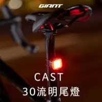 在飛比找momo購物網優惠-【GIANT】CAST 30流明尾燈