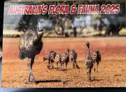 Calender 2025 Australian Flora And Fauna