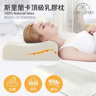 [枕頭] 高品質 斯里蘭卡頂級乳膠枕 100% Natural latex 人體工學枕頭 <售價含運> 百貨、寢具店銷售