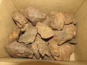 10 KILO LOT OF Egypt Gebel Kamil Iron meteorites full individuals various sizes