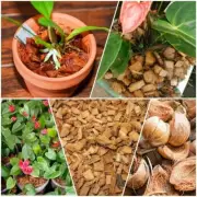 100% Natural Coconut Husk dry chips Anthurium Growing Dry Organic Media Fiber