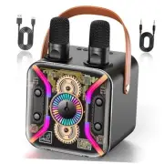 Karaoke Machine for Adults with Two Wireless Microphones, PA System Bluetooth