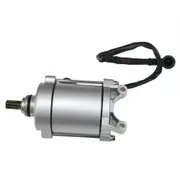 TDR Starter Motor 9 Teeth Zongshen 200cc 250cc 300cc Air Water Cooled Quad ATV Dirt Bike Buggy Pit Trail Go Kart Chinese Engine Parts