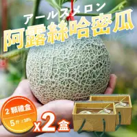 在飛比找momo購物網優惠-【果樹寶石】中部日本阿露斯哈密瓜2顆x2盒（5斤/盒）(產銷