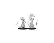 Dungeons & Dragon D&D Nolzur's Marvelous Miniatures Drow Elf Priestess & Mage
