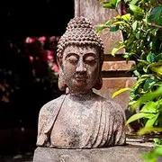 Floryden Buddha Statue for Home, Meditating Buddha Bust Statues, Rustic Spiritual Buddha Head Statue, Naturel Antique Bronze Rust Finish, 16.2" H Magnesia (Magnesia)