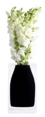 JR Williams Hester Acrylic Vase