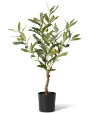 [Elme Living] Olive Tree 61cm