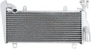 Radiator Grille Fit for Ducati Panigale 899 959 1199 1299 Motorcycle Upper Radiator Cooling Cooler Engine Radiator