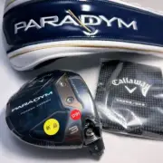 Paradym Paradigm 3W 15 Head, Cover And Warranty Included Japanese Specifications