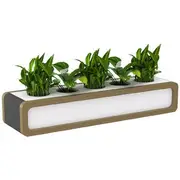 OLG Rover Mobile Planter Box 1650mm