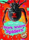 Black Widow Spiders - 9781626172999