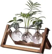 Cozioz Retro Wooden Stand Plant Propagation Station with 3 Glass Vases – Desktop Terrarium Planter for Hydroponics, Ideal for Indoor Office, Home Decor, and Gifts for Plant Lovers