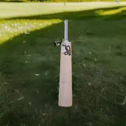 Kookaburra Ghost Pro 4.0 Junior English Willow Cricket Bat. HARROW. (BRAND NEW)
