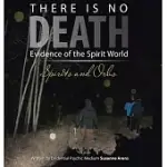 THERE IS NO DEATH: EVIDENCE OF THE SPIRIT WORLD--SPIRITS AND ORBS