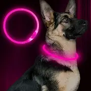 BSeen LED Dog Collar, USB Rechargeable, Glowing pet Dog Collar for Night Safety, Fashion Light up Collar for Small Medium Large Dogs (Pink)