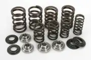 Kibblewhite 82-83450 Valve Spring Kit Steel for Polaris RZR