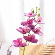 [SoHha] 11 Heads Artificial Butterfly Orchid Fake Phalaenopsis Silicon PVC Real Touch Wedding Home Decoration (07)
