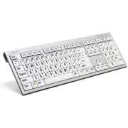 LogicKeyboard Large Print Black on White Keyboard Mode: LKB-LPRNTBW-AJPU