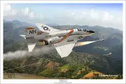 VF-114 Aardvarks F-4 Phantom II Aviation Art Print