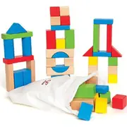50pc Hape Maple Educational/Activity Building/Stacking Blocks Toy Kids/Baby 12m+