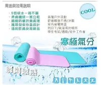 在飛比找Yahoo!奇摩拍賣優惠-台灣製 冰涼巾 冰涼毛巾  冰涼領巾 冰涼圍巾 冰敷包 冰敷