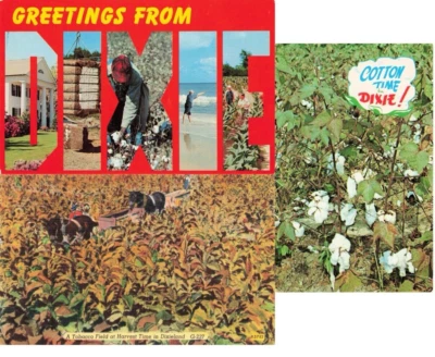 Lot of 3 "Dixie" South Carolina(?) Vintage PCs Greetings